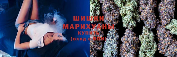 дживик Кулебаки