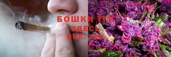 дживик Кулебаки