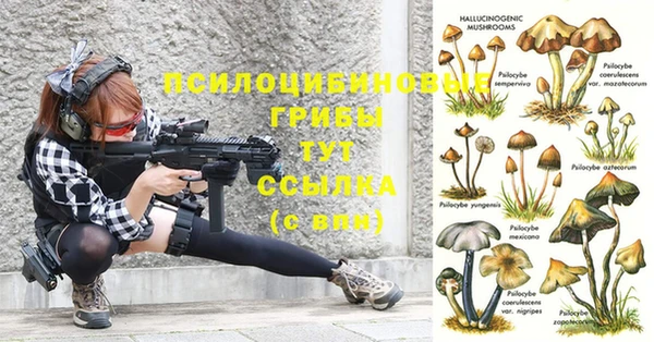 apvp Кукмор