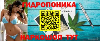 стаф Изобильный