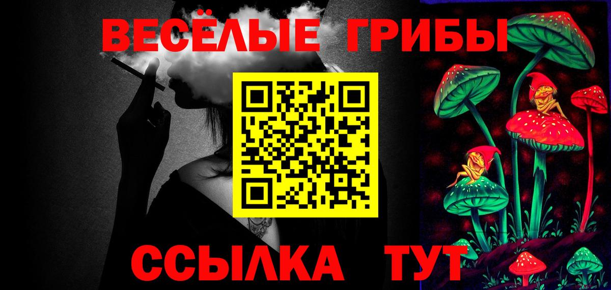 Псилоцибиновые грибы Psilocybe  Вход с VPN  Коркино 